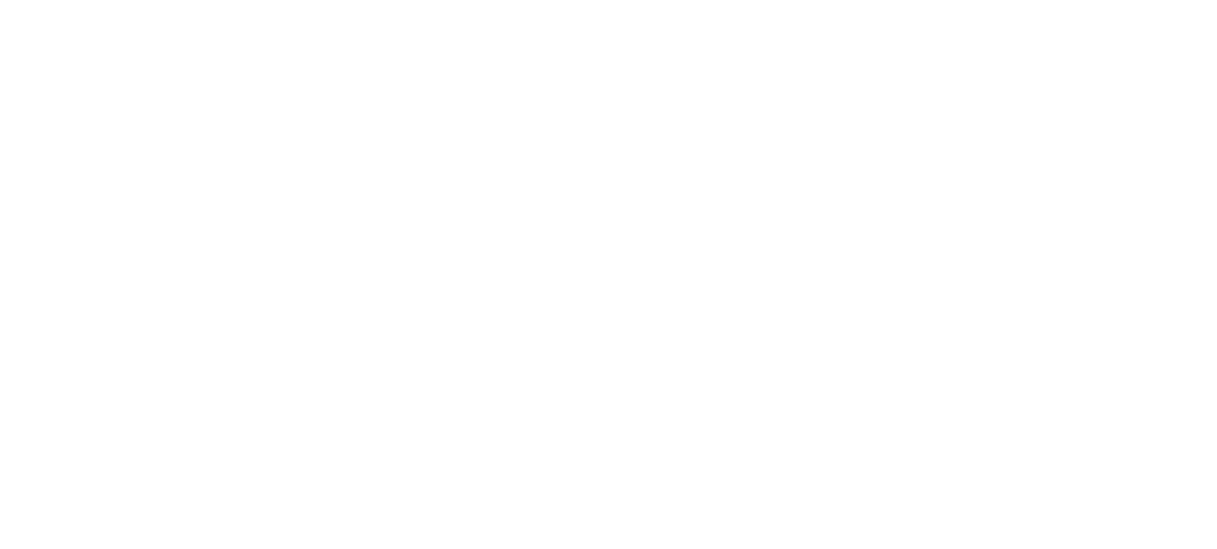 bg-eneide-video